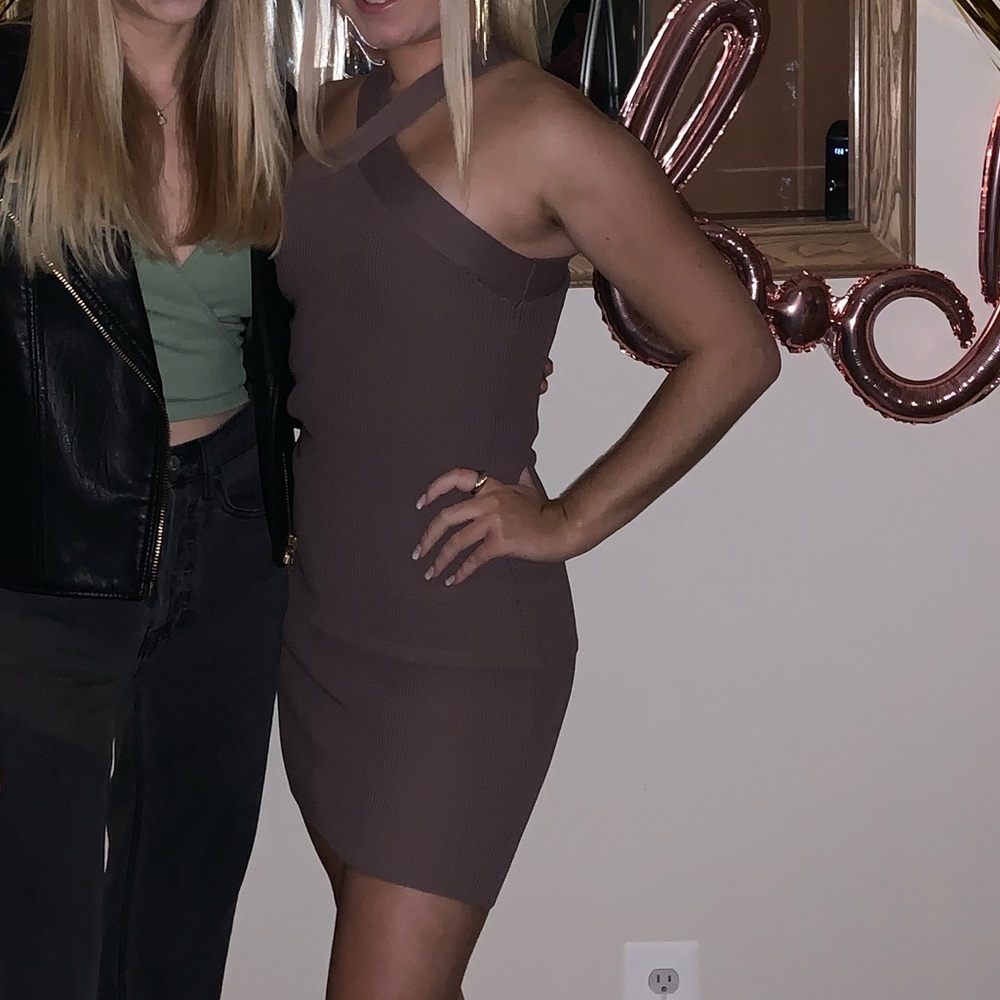 Aritzia Babaton Mauve Dress